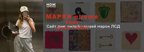 индика Сафоново