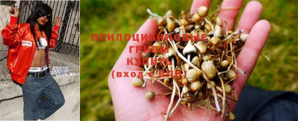 мдпв Волоколамск