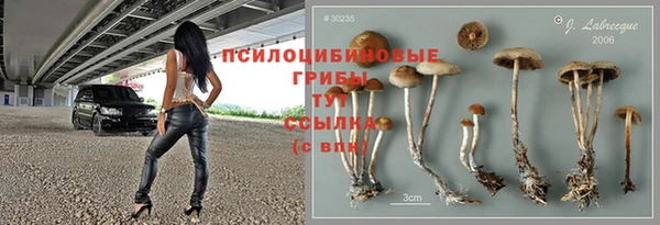 хмурый Саяногорск
